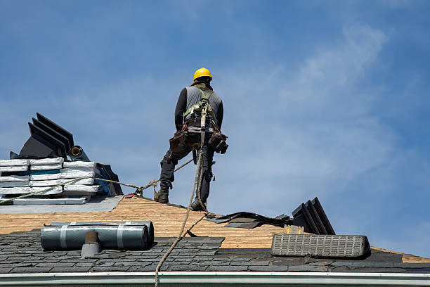 Professional Gutter Installation technician working in Lost Nation, IA